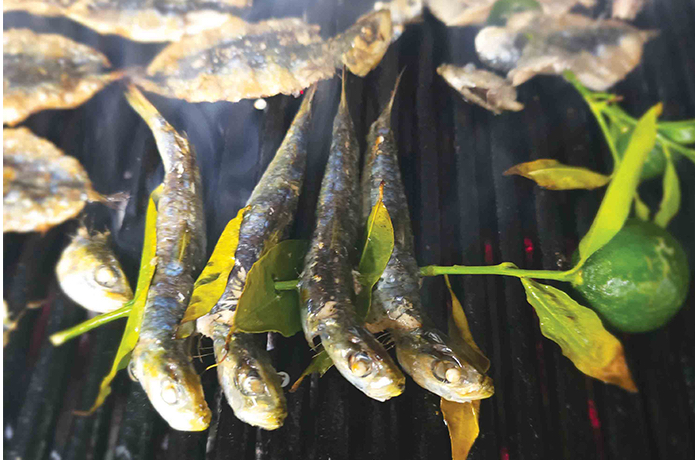 Halk kahramanı sardalya: Sen çok yaşa! 